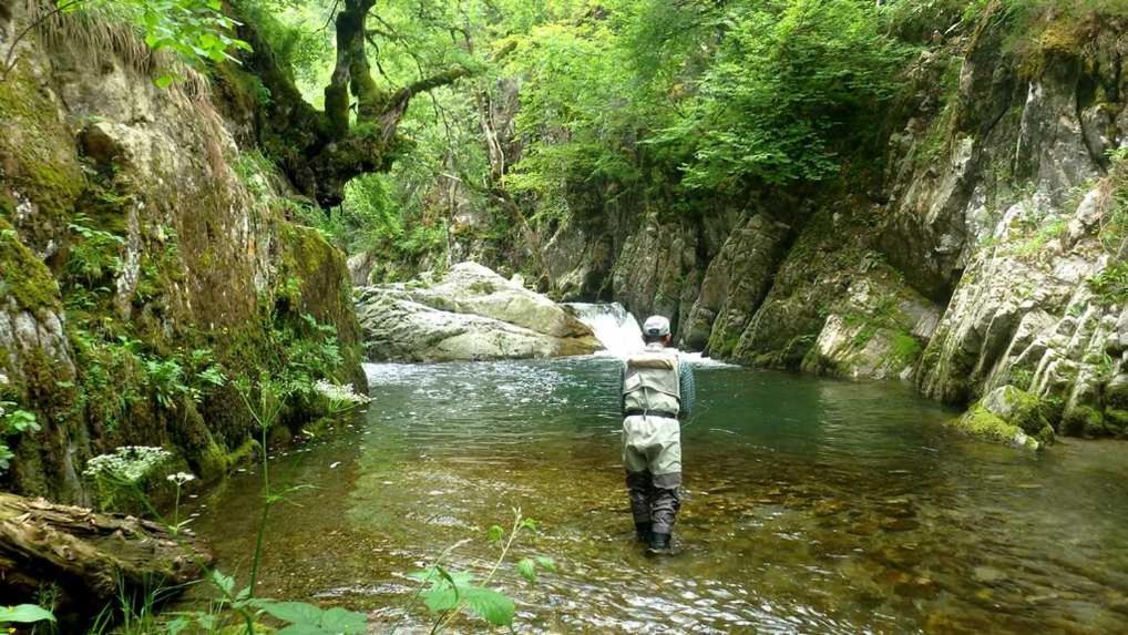 Gites Communaux A Lourdios エクステリア 写真